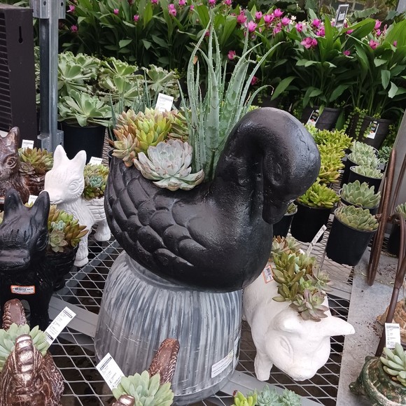 Meet your Posher, Lydia - Picture 1 of 1